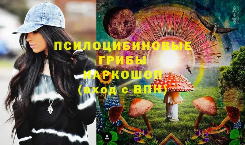 Псилоцибиновые грибы Magic Shrooms  гидра зеркало  Волчанск 